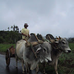 highlandtour8.jpg