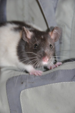 [DSC_0229%255B4%255D.jpg]