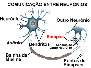 [sinapse%255B2%255D.jpg]