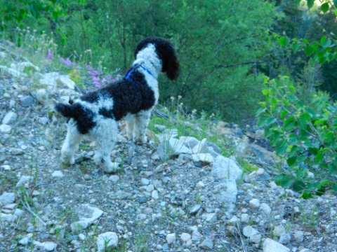 DSCN9152.jpg DSCN9152