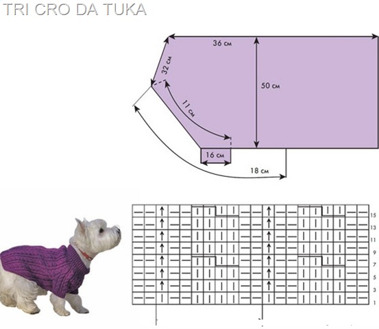 [dog%2520aa%255B8%255D.jpg]