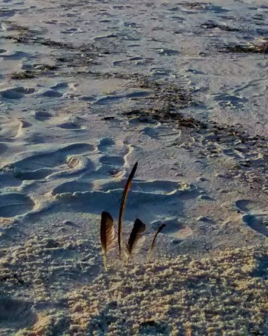 Feather Cairn