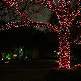 IMG_6387.JPG