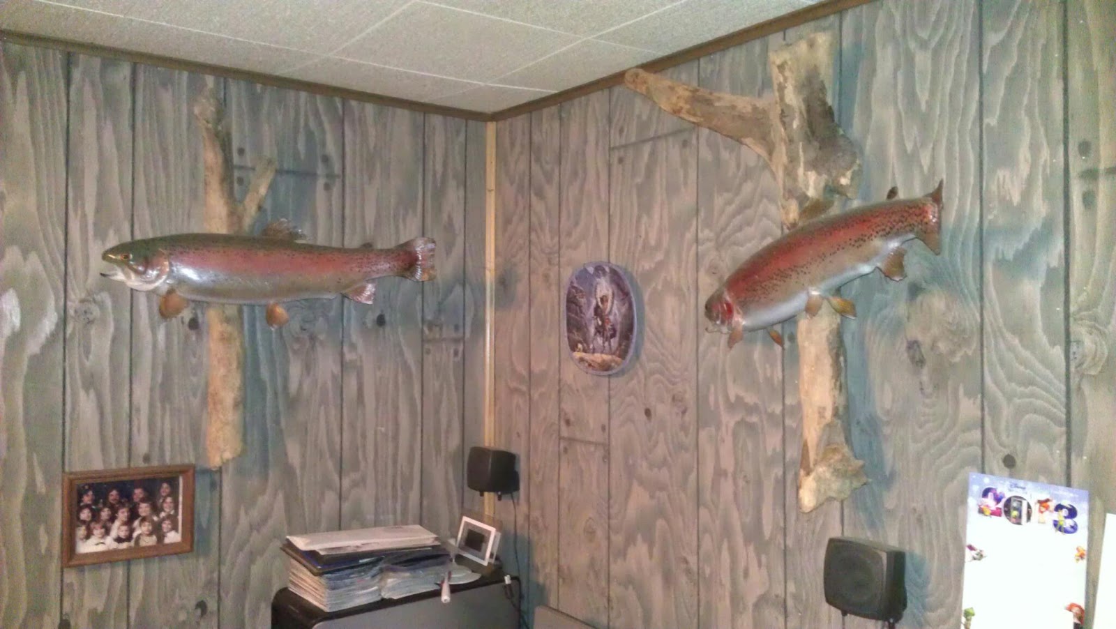 Trout Fishing Day 2 of Trout Season in Armstrong County