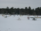 Winter Fly In