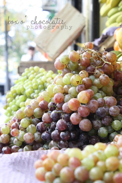 Argentinian Grapes 2