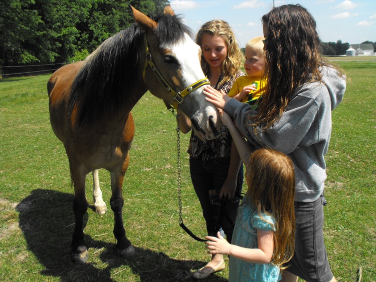 [horses%255B5%255D.jpg]