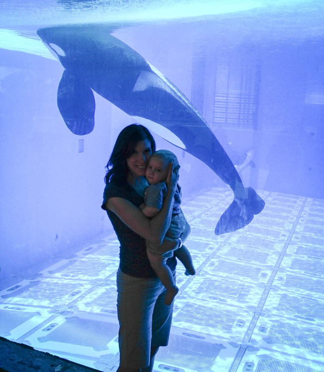 12 - first time at sea world 12 - first time at sea world