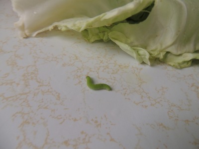 [July17Food%2520004%255B3%255D.jpg]