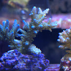 DSC_2120.jpg