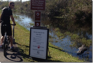 Shark Valley Alligators