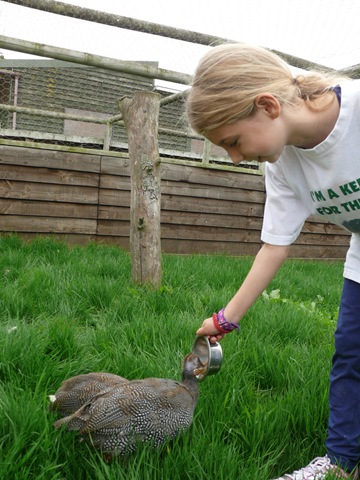 [P1080765%255B10%255D.jpg]