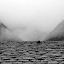 Misty view over the roof before the skylights went in
http://www.skibreezy.com