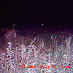 MDGC0358.JPG