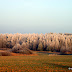 landscapes