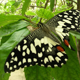 DSCN1460.JPG