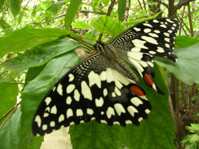 DSCN1460.JPG
