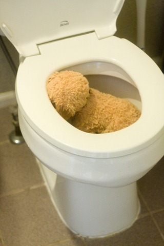03 22 13_dog in toilet
