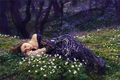 529224_1421369388096369_2038756975_n