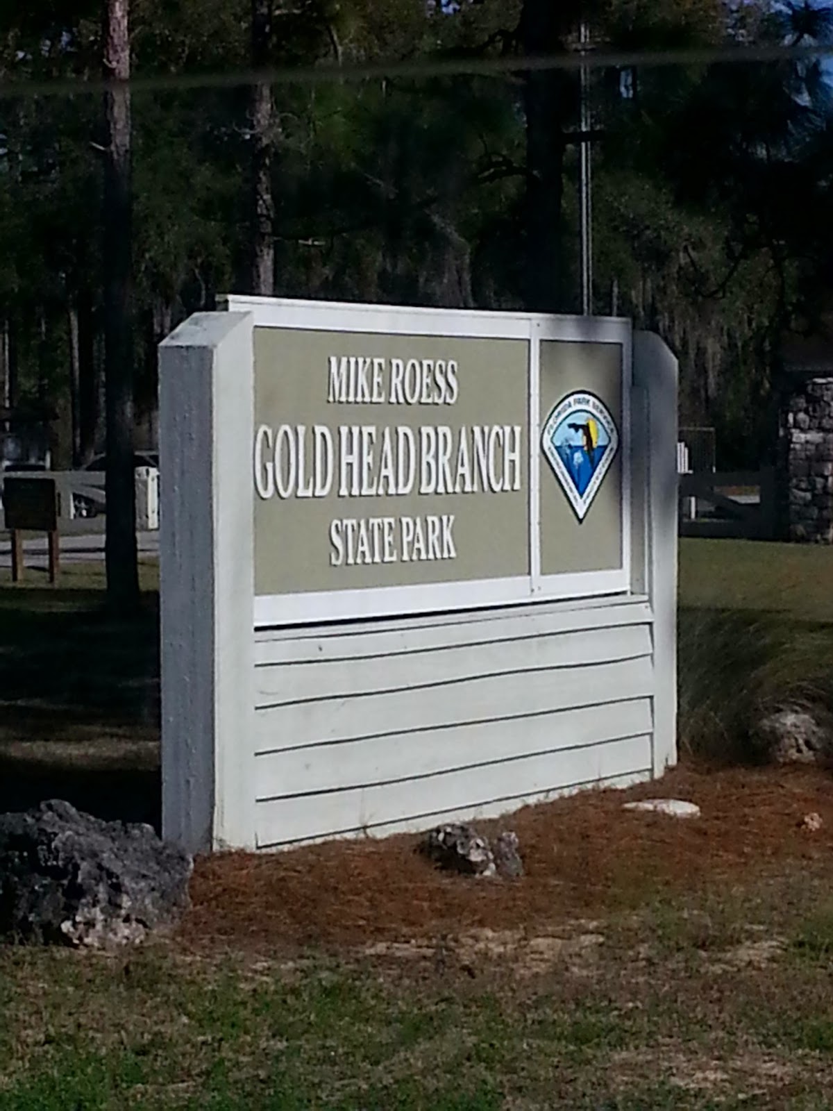 Gio's trips and brews... Mike Roess Gold Head Branch State Park