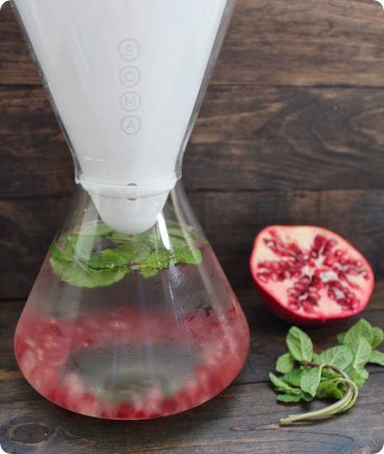 POMEGRANATE MINT INFUSED WATER