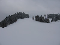 IMG_3156.JPG