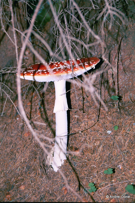 00345.jpg 00345.jpg