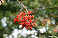 IMG_2314.JPG Photo