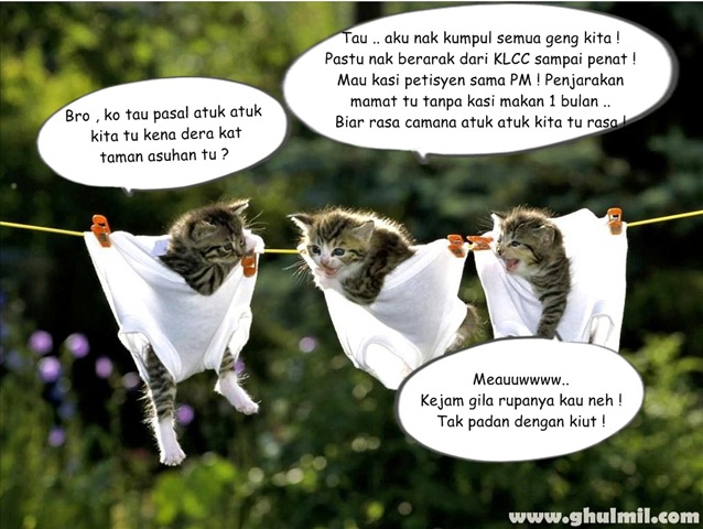 [kucing%255B3%255D.jpg]