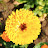 DSC_0513.JPG