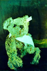 Split-Toned-Prints---Bears-1-I