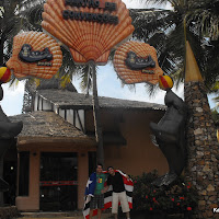  Kamaleao_Beach_Park_Fortaleza_17_10_2010