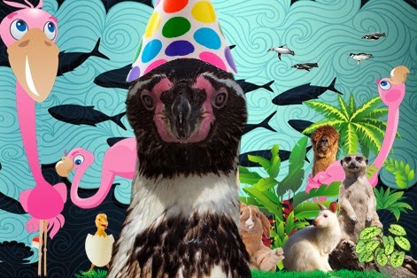 [Dippy_New_Year%255B6%255D.jpg]