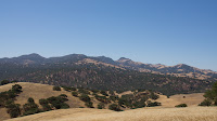 DSC02926.jpg