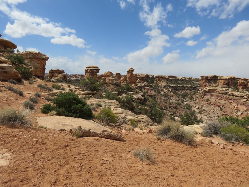 [moab_can_needles_slickrock_foot_trai%255B6%255D.jpg]