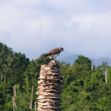 Wildlife At The Source - February 2008