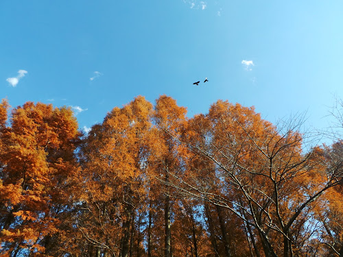 20121208_134122.JPG