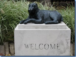 IMG_3977 IMG_3977