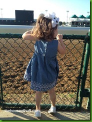 IMG_5337 IMG_5337