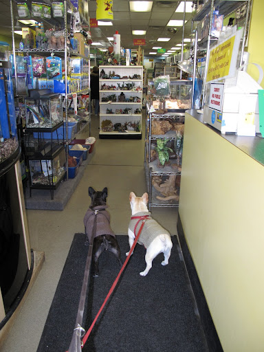 Sharkey, I smell so many animals!  I can't wait to visit each and every one.