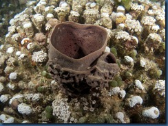 IMG_0220 IMG_0220