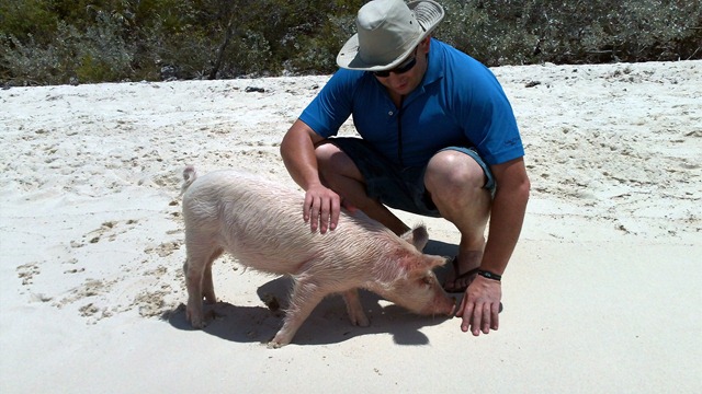 Dimitry making friends with the smallest of the swimming pigs