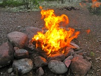 IMG_7374 IMG_7374