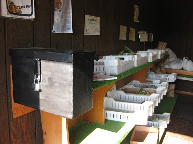 [IMG_71933.jpg]