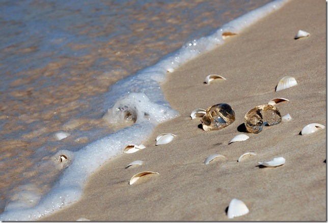 DSC_5477 DSC_5477