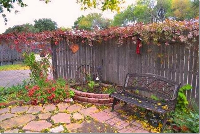 small_garden suburban garden fall color, Virginia Creeper, Sage
