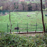 11 12 18 Senda do Oso (Proaza e Teverga) Asturias