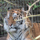 Poznańskie Nowe ZOO