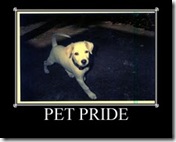 PETPRIDE PETPRIDE
