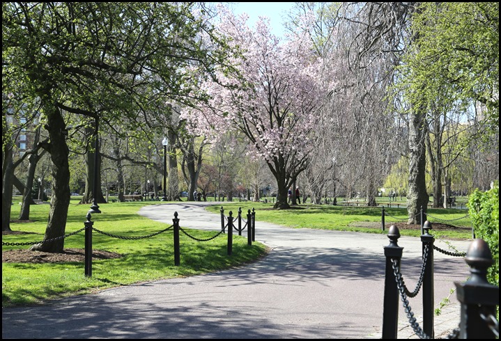 Public Park Boston